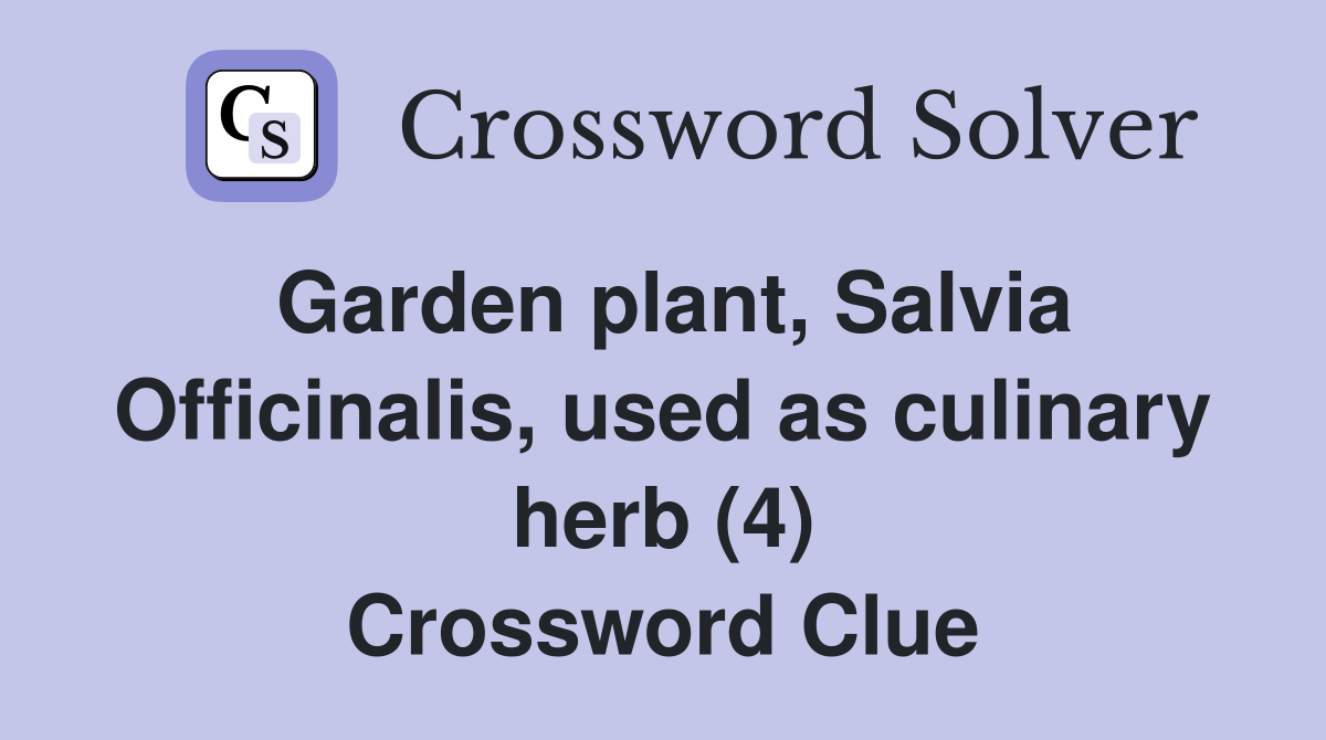 Garden plant, Salvia Officinalis, used as culinary herb (4) Crossword Clue