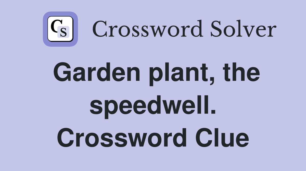 Garden plant, the speedwell. Crossword Clue
