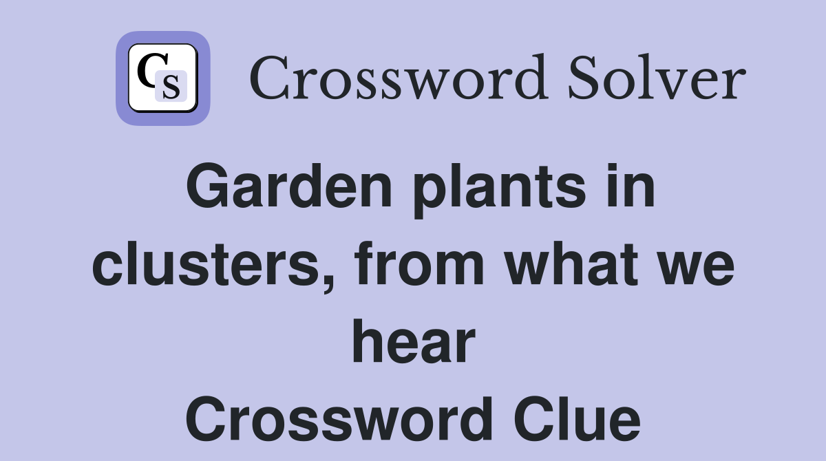 Garden plants in clusters, from what we hear Crossword Clue