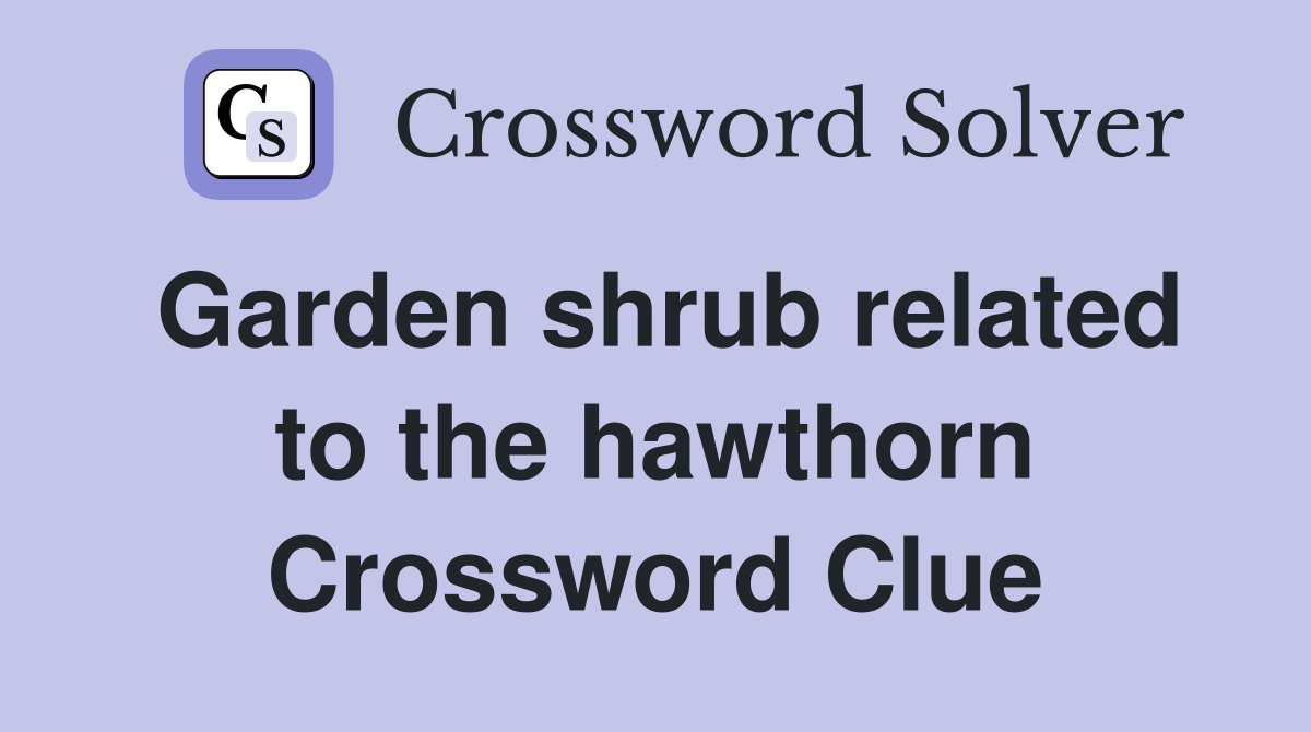 Garden shrub related to the hawthorn Crossword Clue