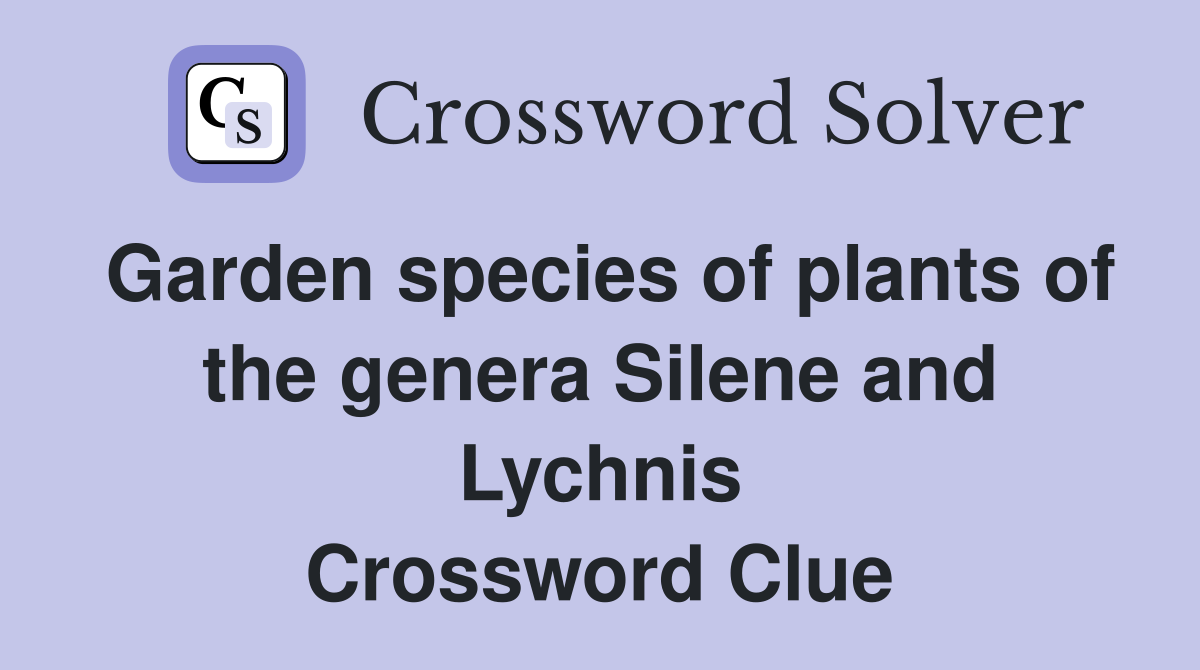 Garden species of plants of the genera Silene and Lychnis Crossword Clue