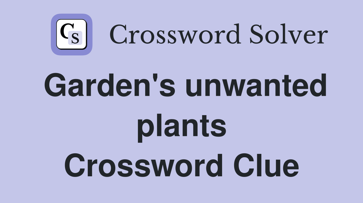 Garden's unwanted plants Crossword Clue