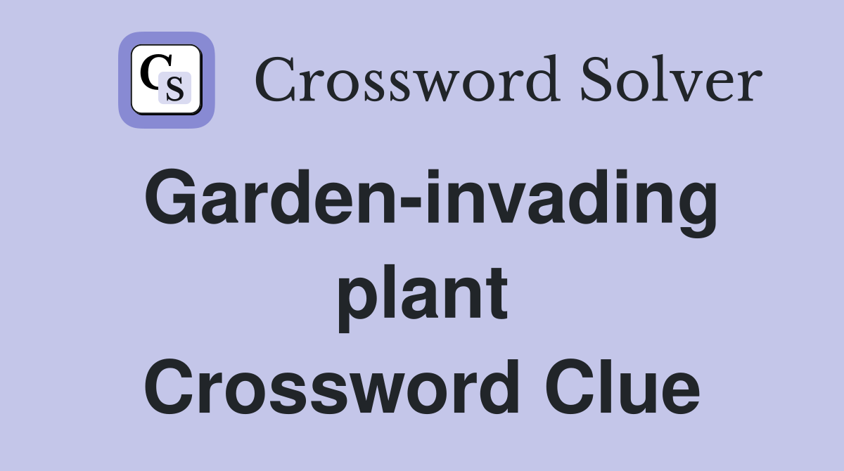 Garden-invading plant Crossword Clue