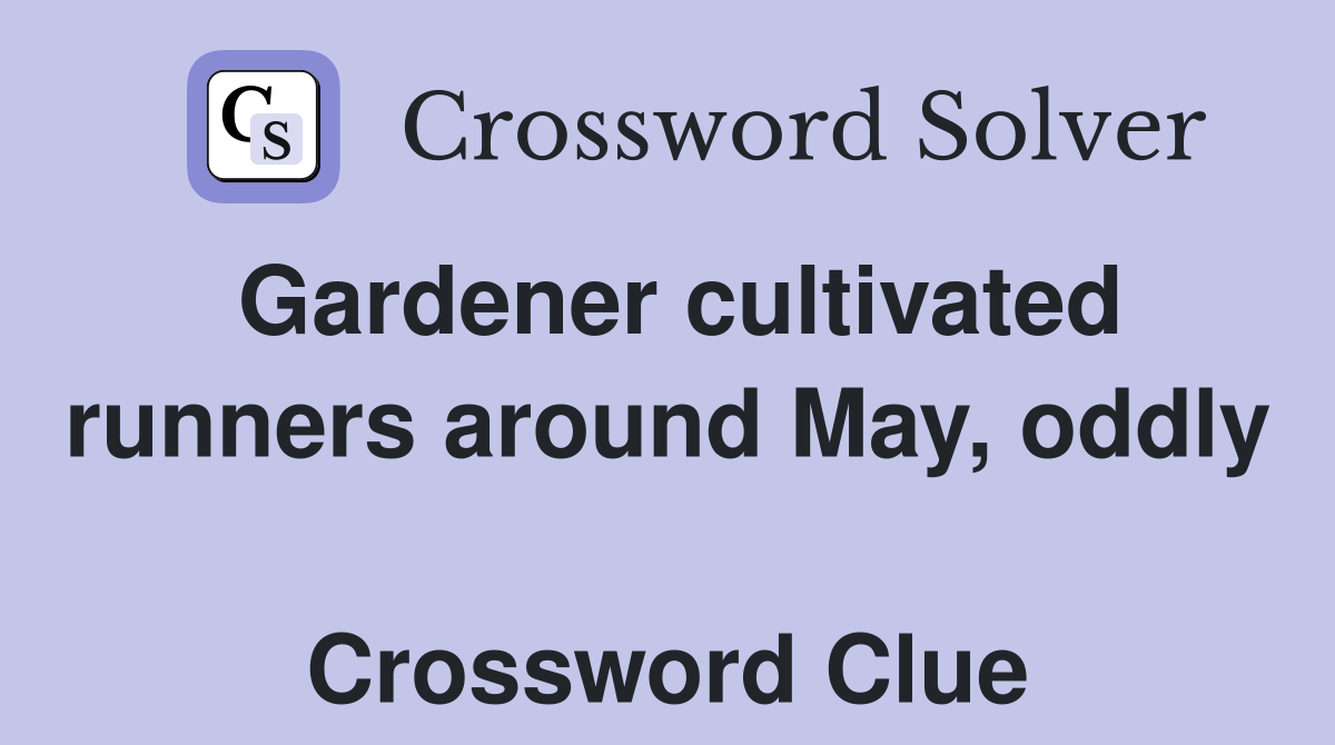 Gardener cultivated runners around May, oddly  Crossword Clue