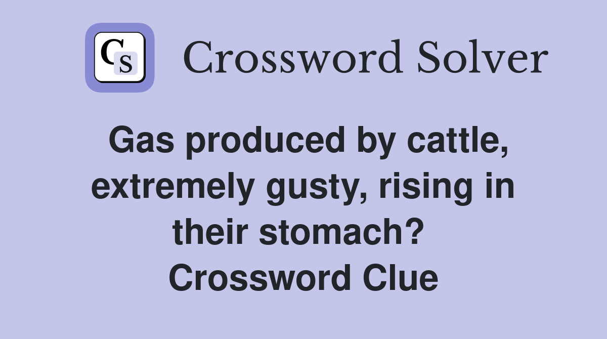 Gas produced by cattle, extremely gusty, rising in their stomach?  Crossword Clue