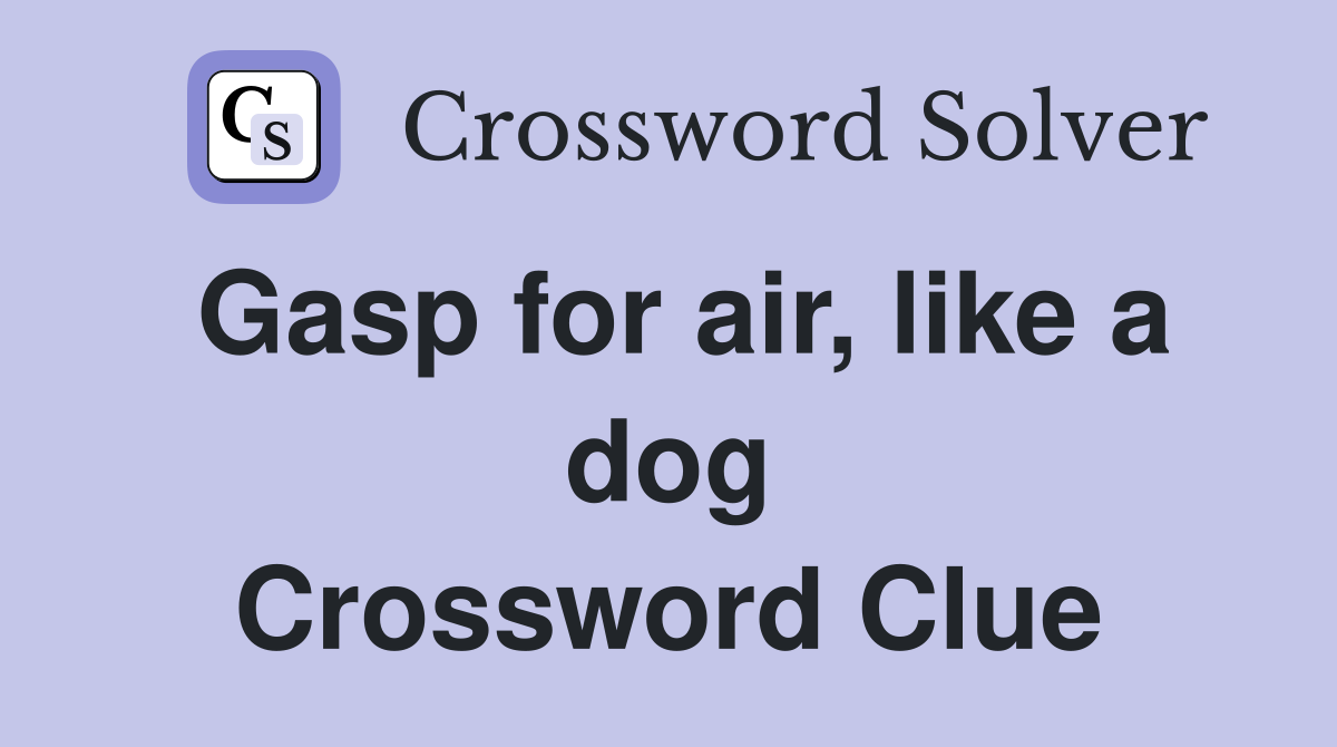 Gasp for air, like a dog Crossword Clue