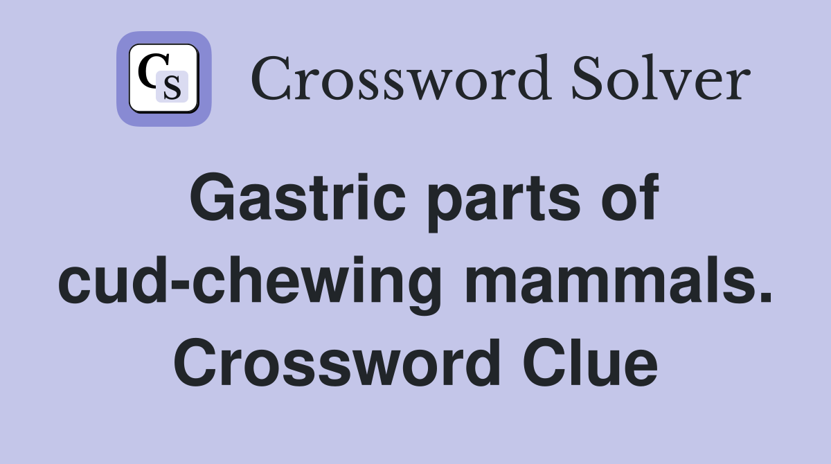 Gastric parts of cud-chewing mammals. Crossword Clue