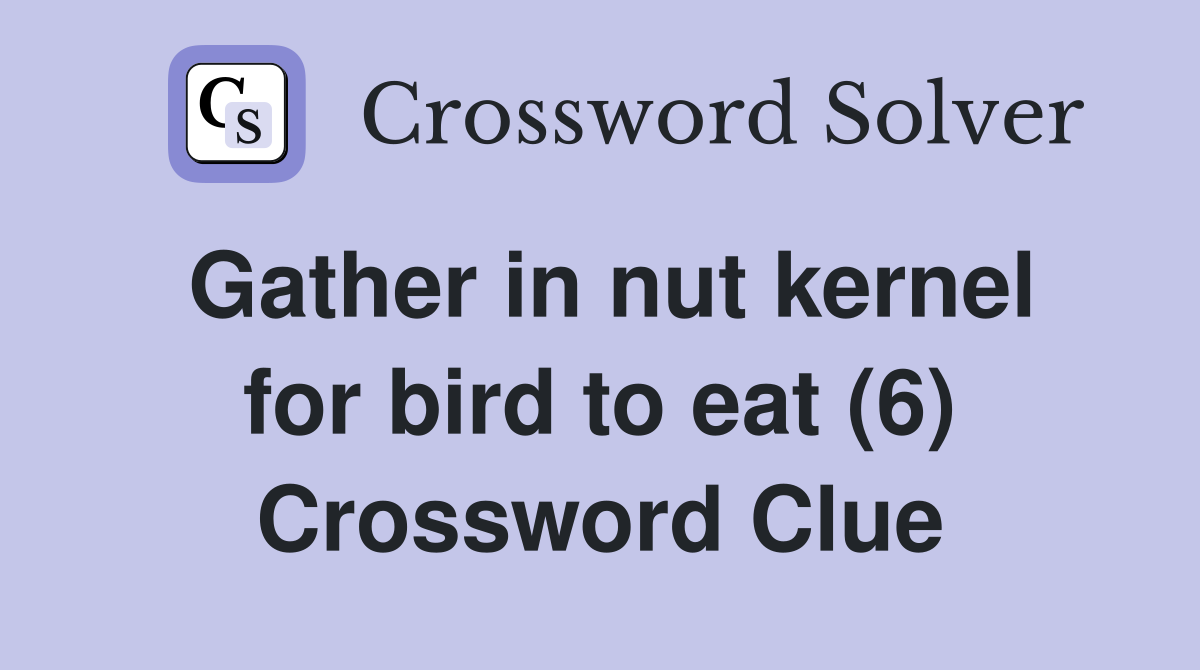 Gather in nut kernel for bird to eat (6) Crossword Clue
