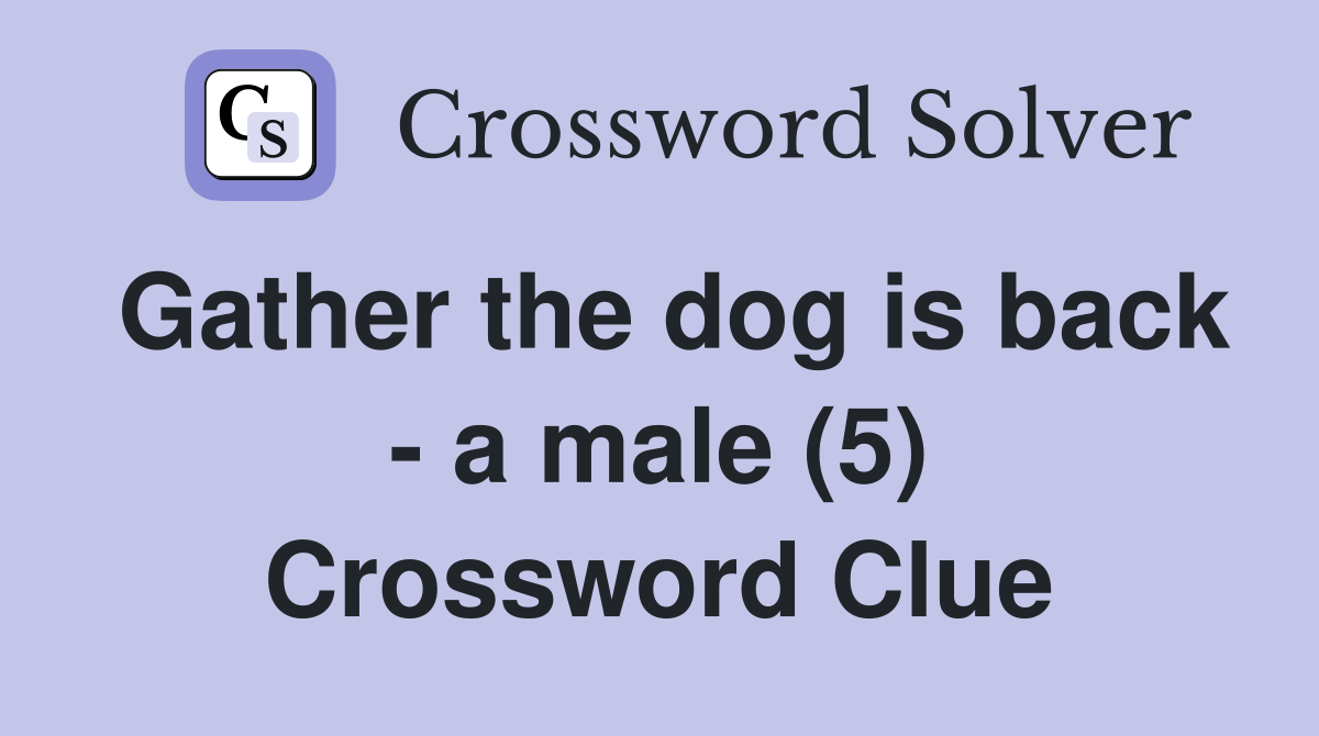Gather the dog is back - a male (5) Crossword Clue