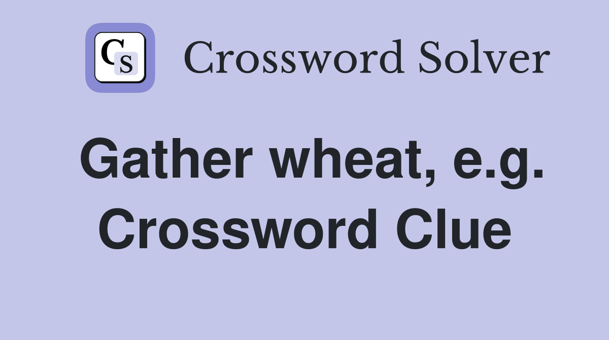 Gather wheat, e.g. Crossword Clue