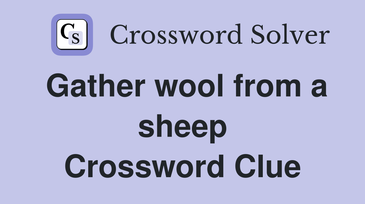Gather wool from a sheep Crossword Clue