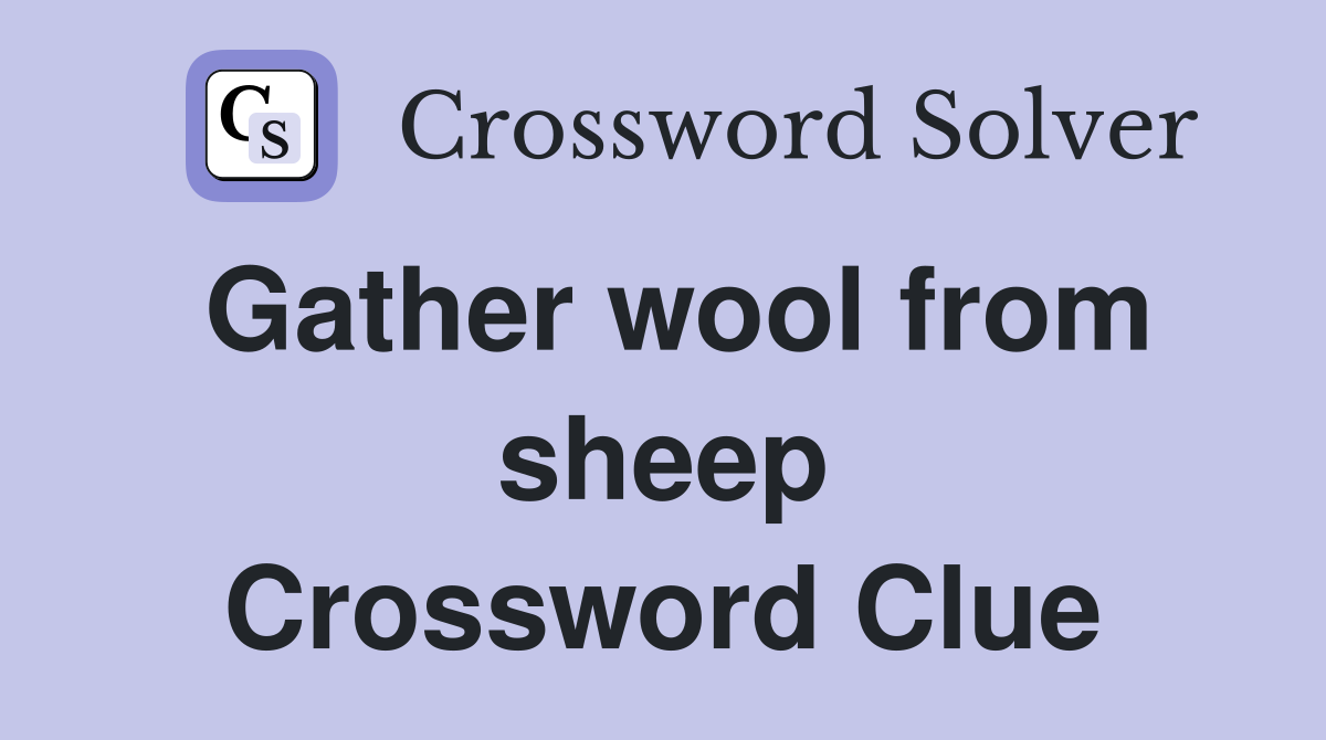 Gather wool from sheep Crossword Clue