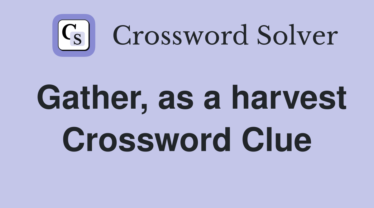 Gather, as a harvest Crossword Clue