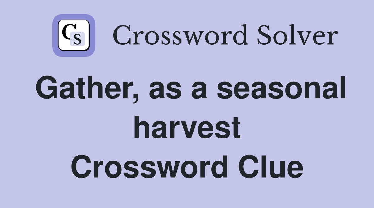 Gather, as a seasonal harvest Crossword Clue