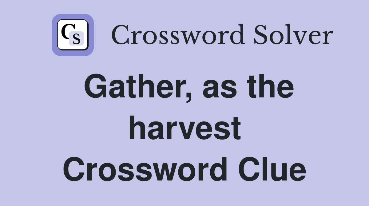 Gather, as the harvest Crossword Clue