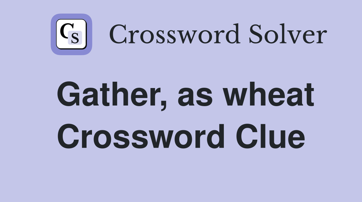 Gather, as wheat Crossword Clue