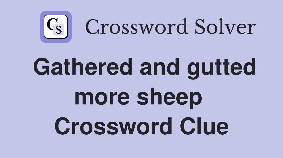 Gathered and gutted more sheep  Crossword Clue