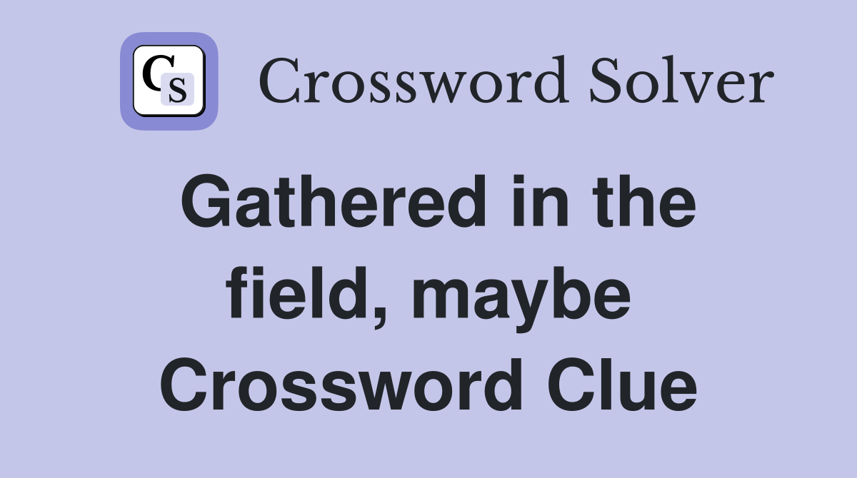 Gathered in the field, maybe Crossword Clue