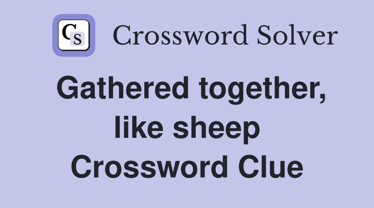 Gathered together, like sheep Crossword Clue