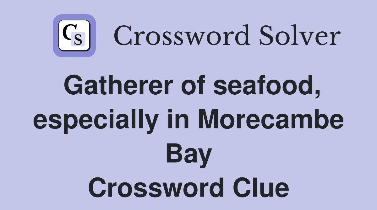 Gatherer of seafood, especially in Morecambe Bay Crossword Clue