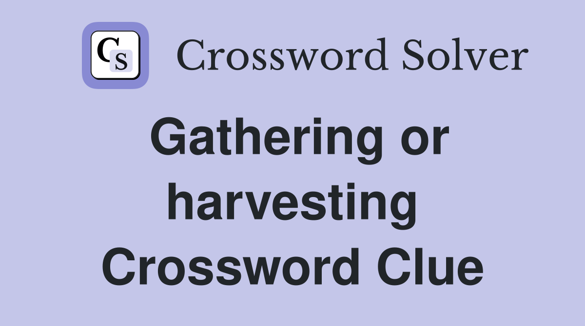 Gathering or harvesting Crossword Clue
