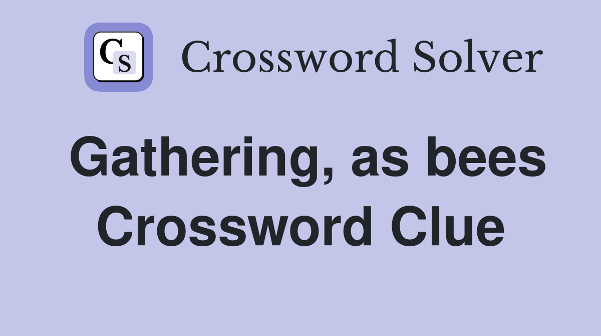 Gathering, as bees Crossword Clue