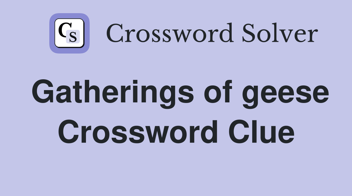 Gatherings of geese Crossword Clue