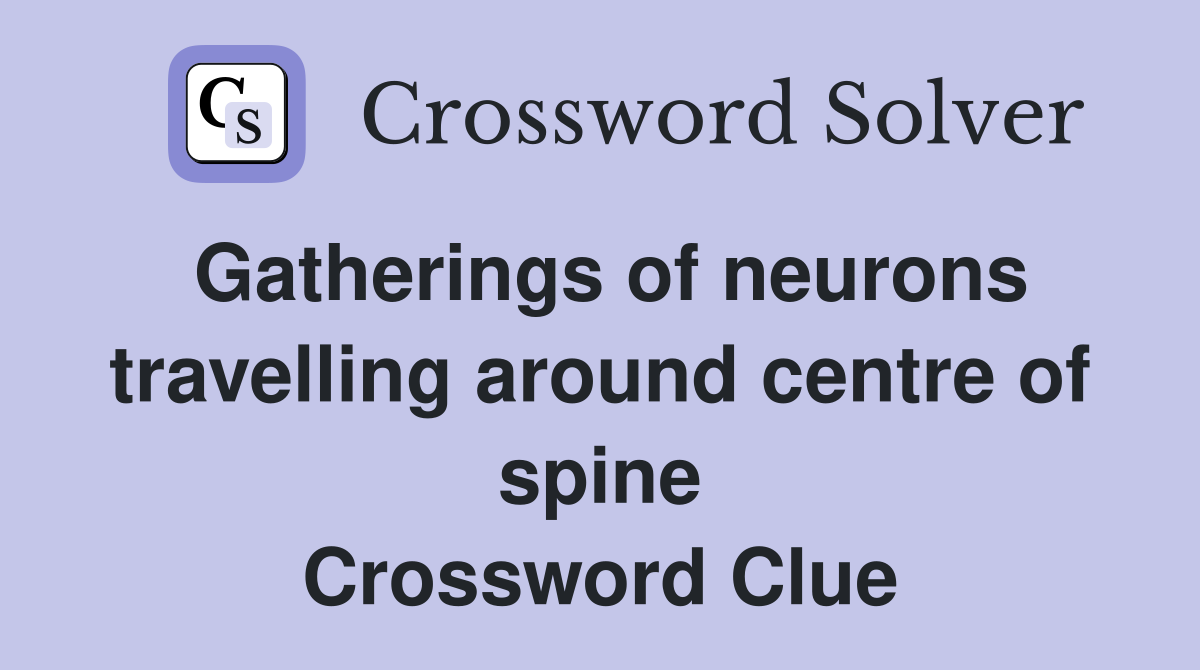 Gatherings of neurons travelling around centre of spine Crossword Clue