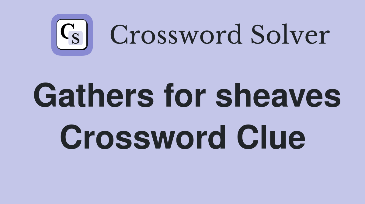 Gathers for sheaves Crossword Clue