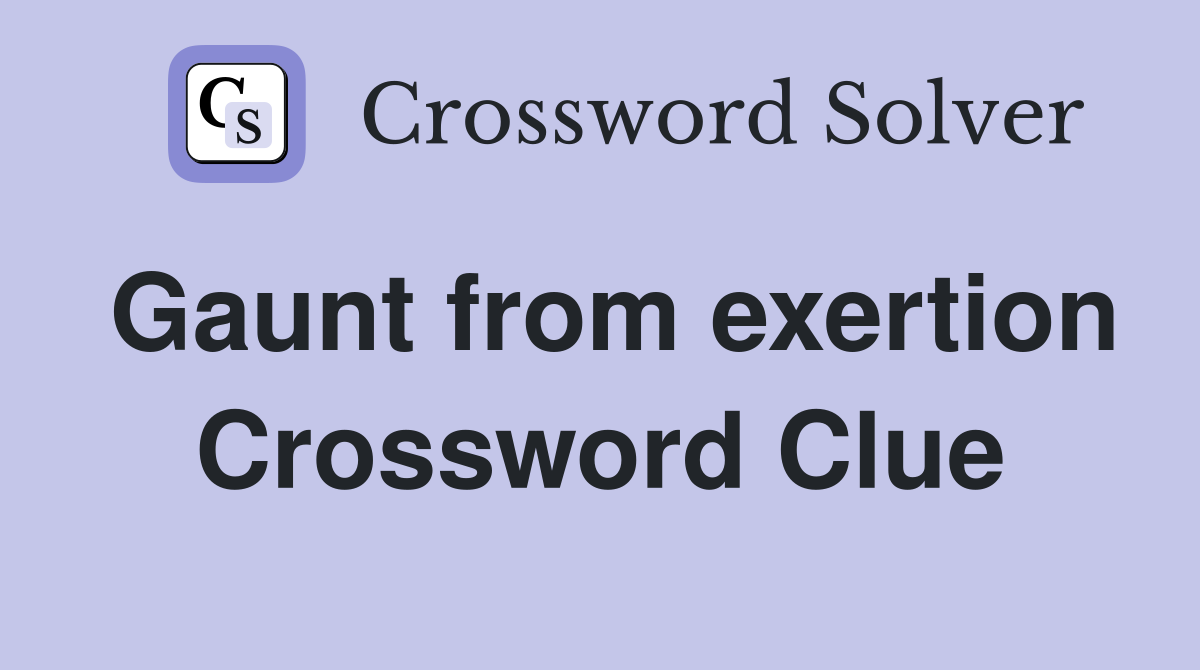 Gaunt from exertion Crossword Clue