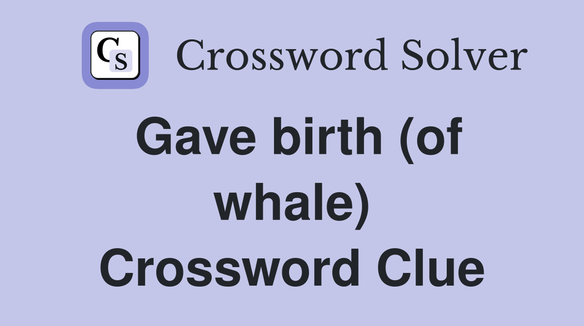 Gave birth (of whale) Crossword Clue