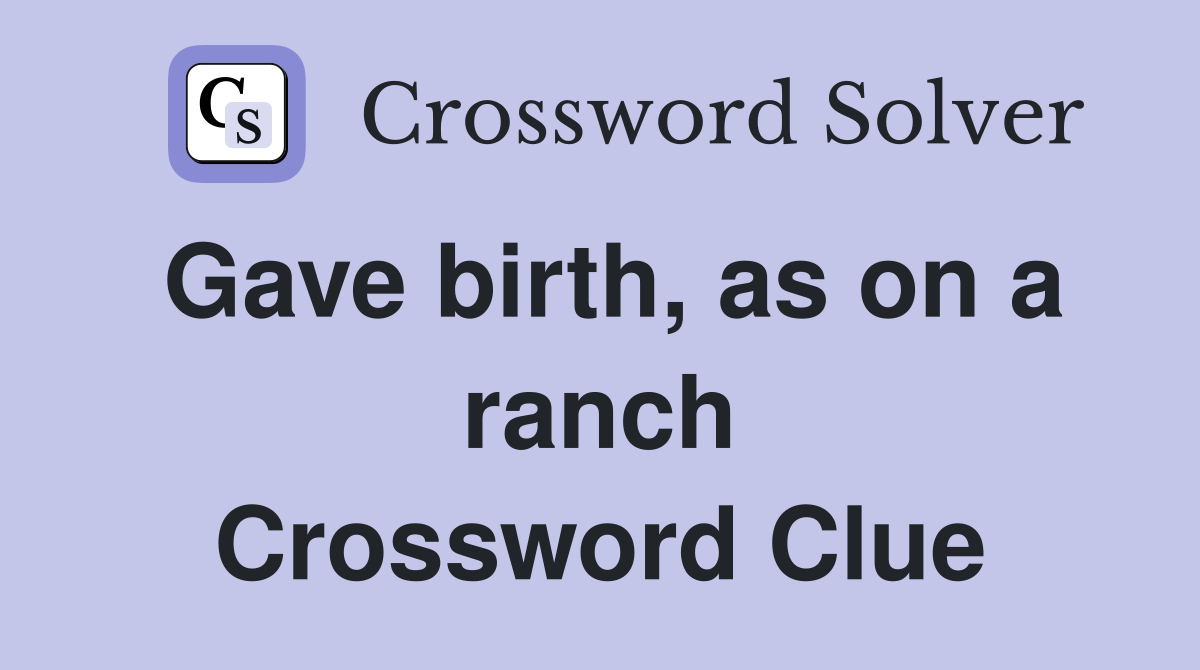 Gave birth, as on a ranch Crossword Clue