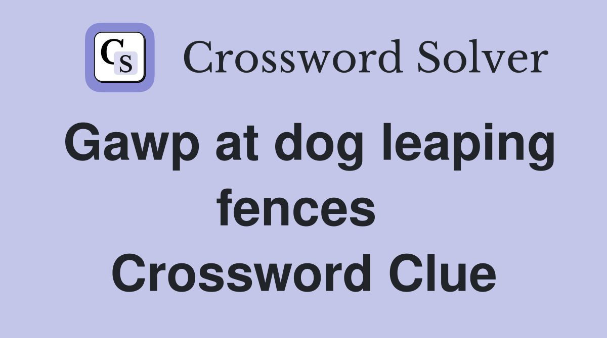 Gawp at dog leaping fences  Crossword Clue
