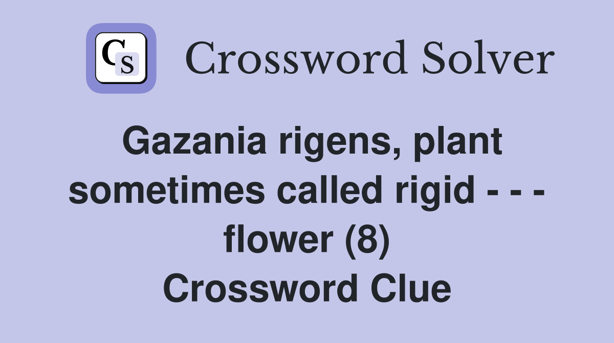 Gazania rigens, plant sometimes called rigid - - - flower (8) Crossword Clue