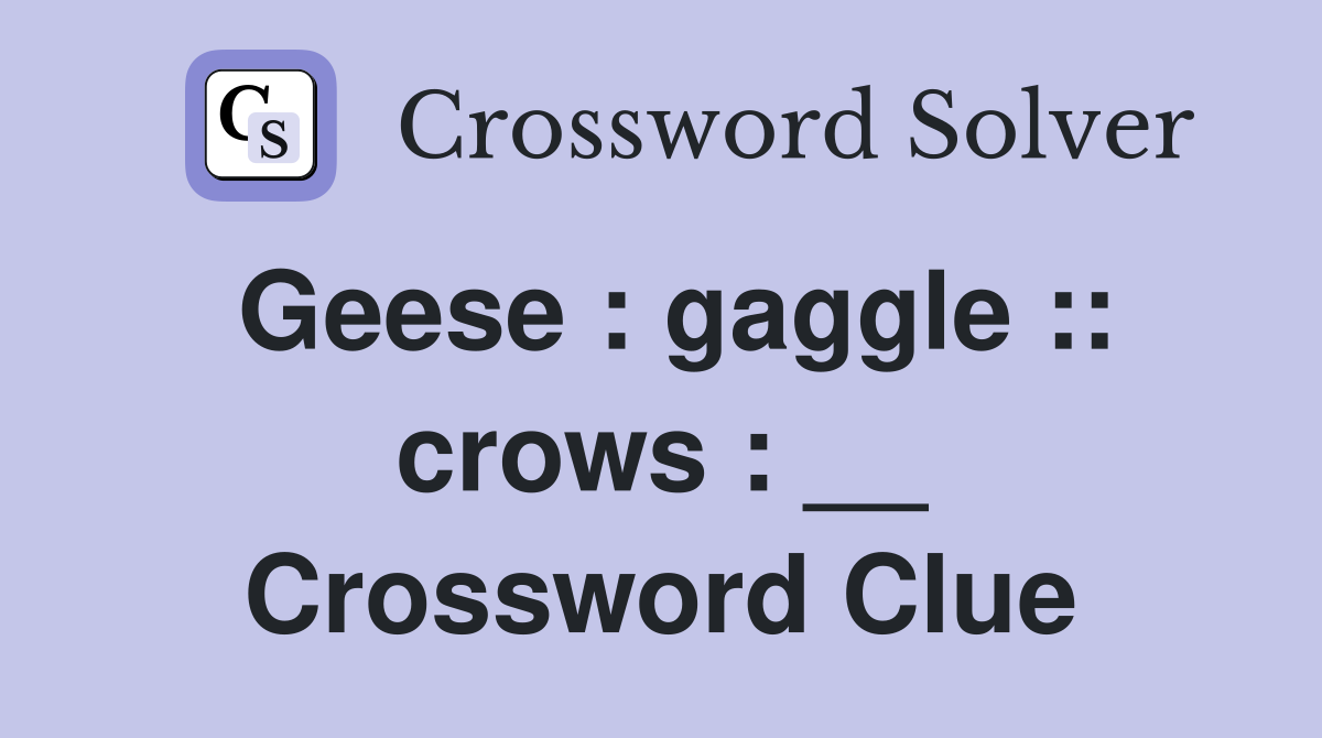 Geese : gaggle :: crows : __ Crossword Clue