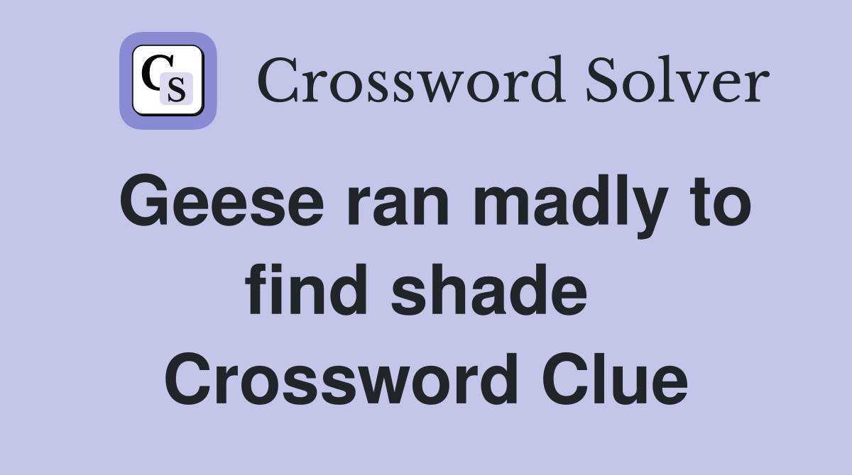 Geese ran madly to find shade  Crossword Clue