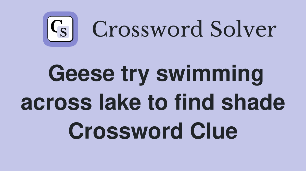 Geese try swimming across lake to find shade Crossword Clue