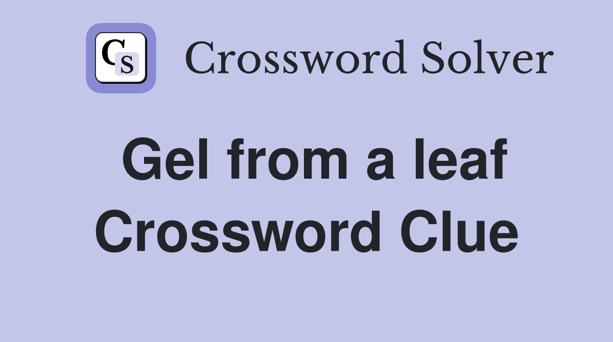 Gel from a leaf Crossword Clue