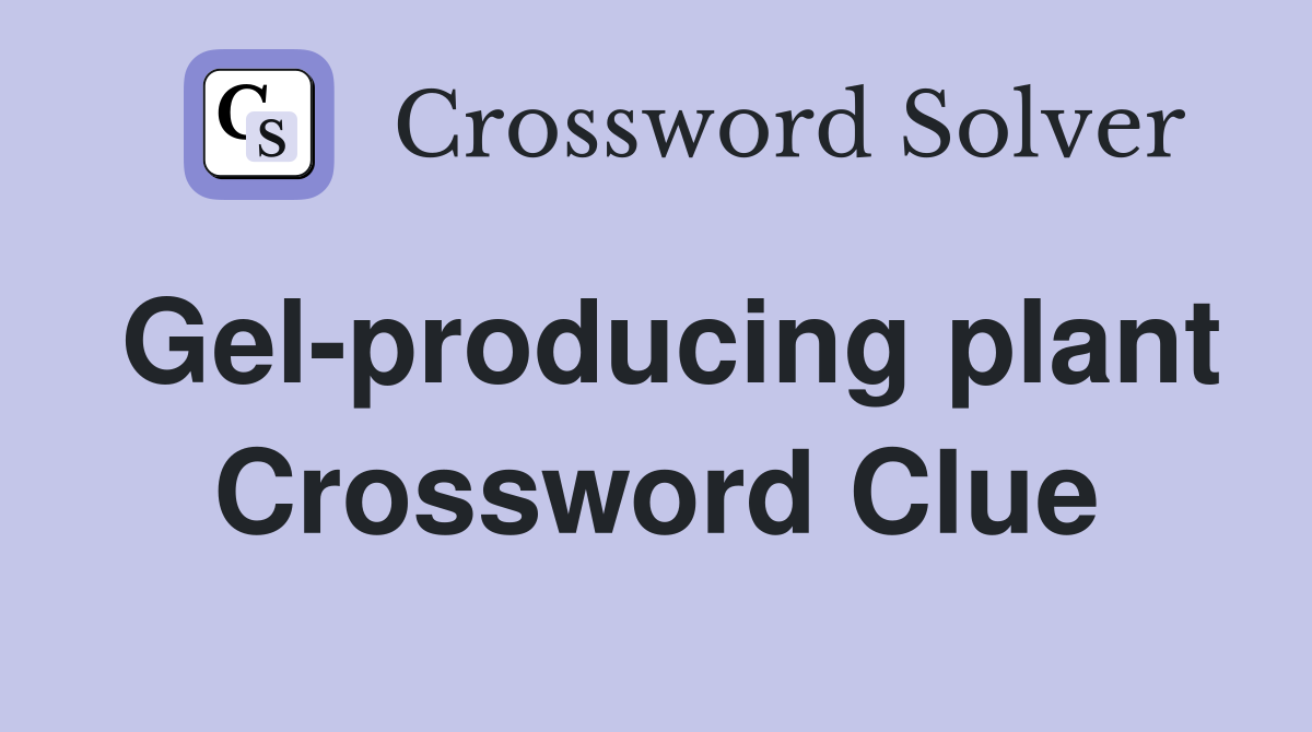 Gel-producing plant Crossword Clue