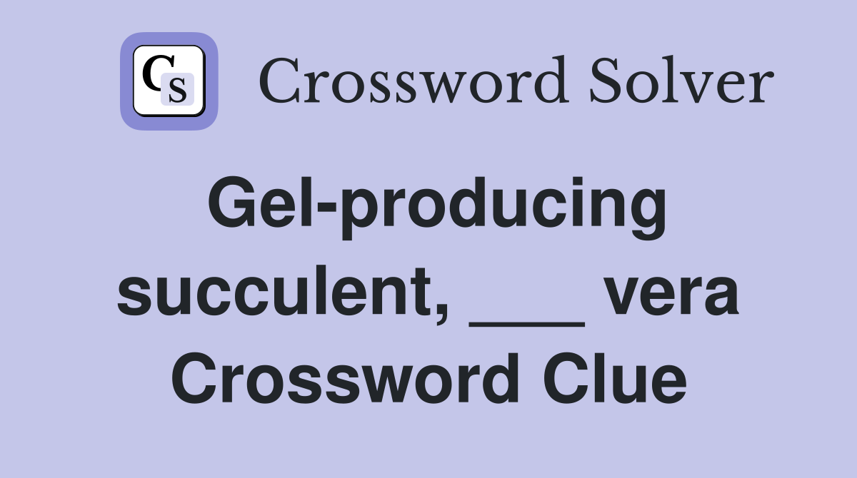 Gel-producing succulent, ___ vera Crossword Clue