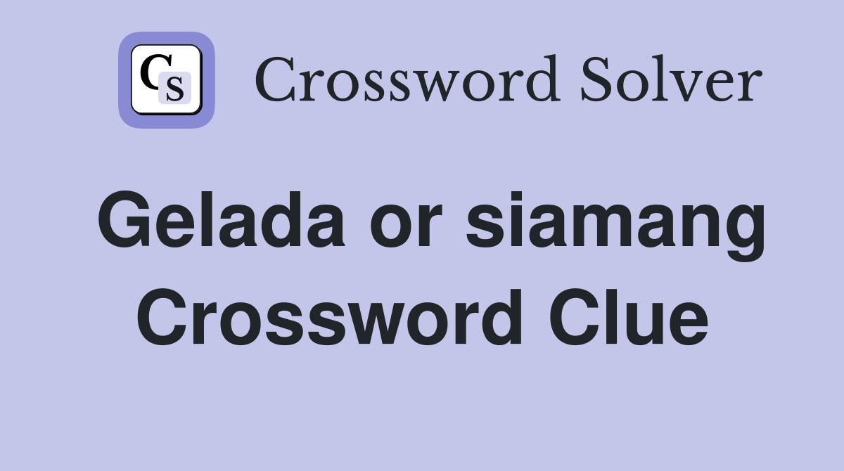 Gelada or siamang Crossword Clue