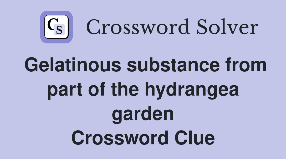 Gelatinous substance from part of the hydrangea garden Crossword Clue