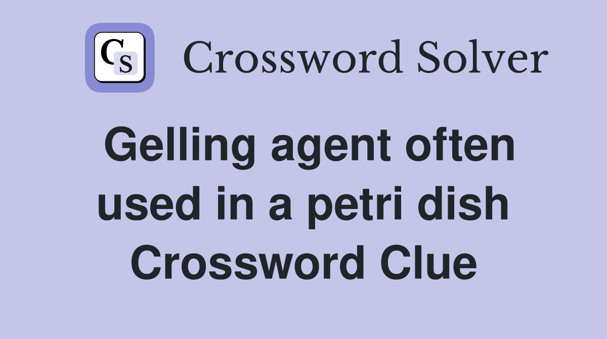 Gelling agent often used in a petri dish Crossword Clue