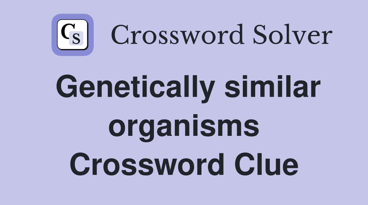 Genetically similar organisms Crossword Clue