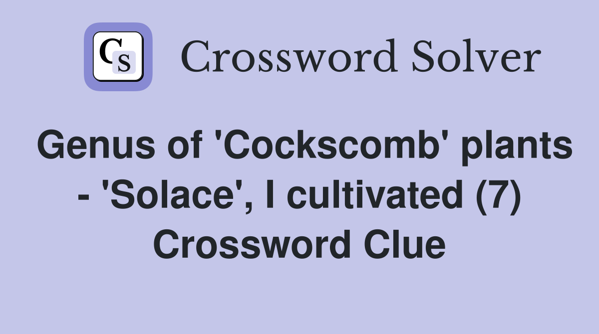 Genus of 'Cockscomb' plants - 'Solace', I cultivated (7) Crossword Clue