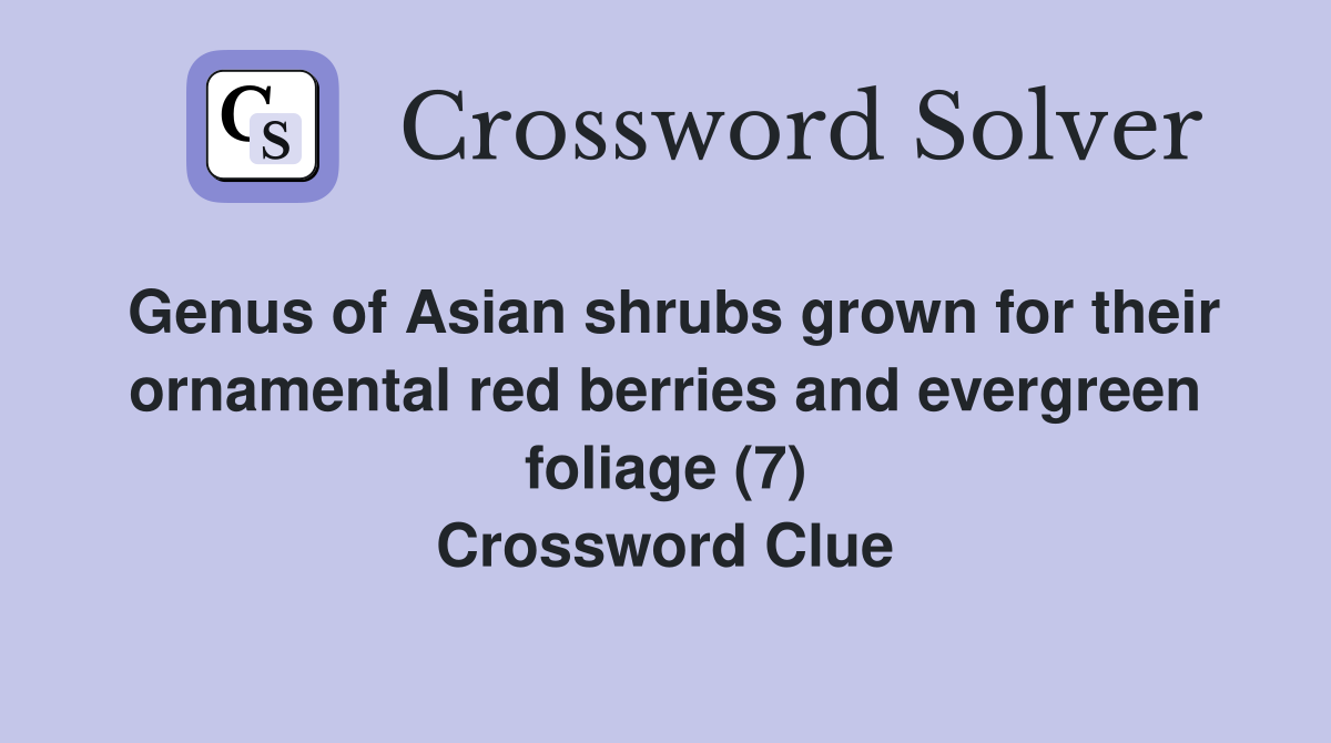 Genus of Asian shrubs grown for their ornamental red berries and evergreen foliage (7) Crossword Clue