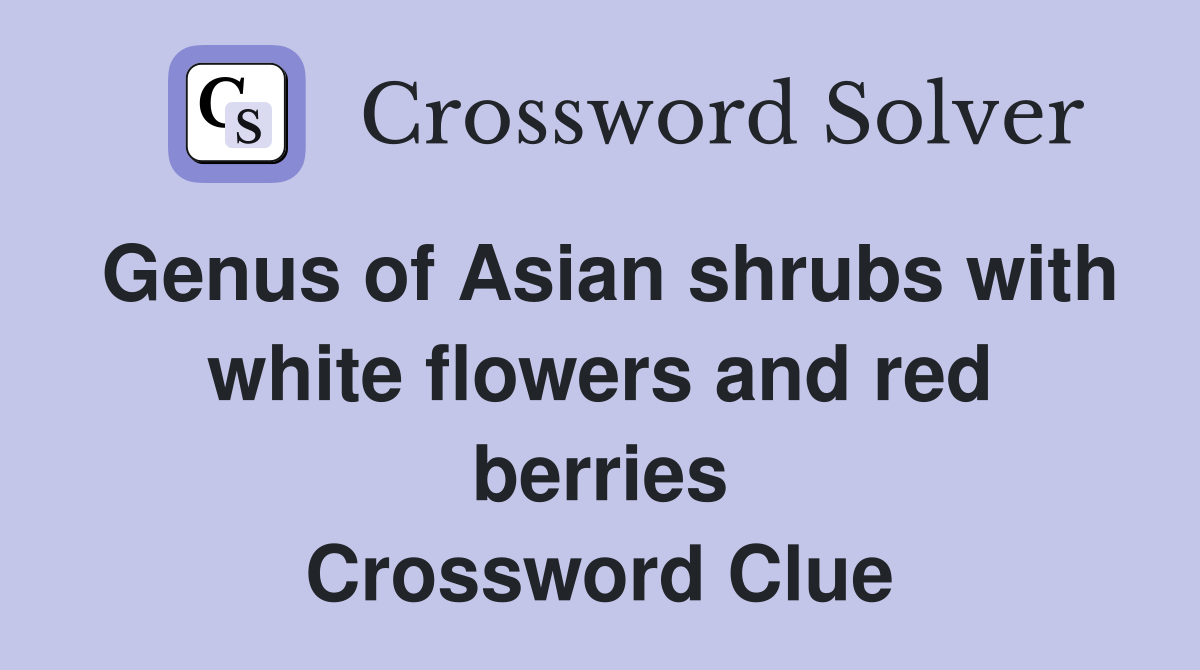 Genus of Asian shrubs with white flowers and red berries Crossword Clue