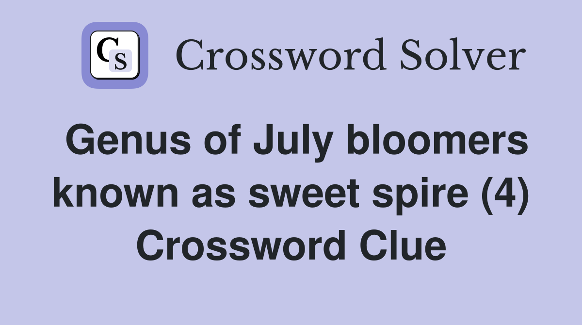 Genus of July bloomers known as sweet spire (4) Crossword Clue