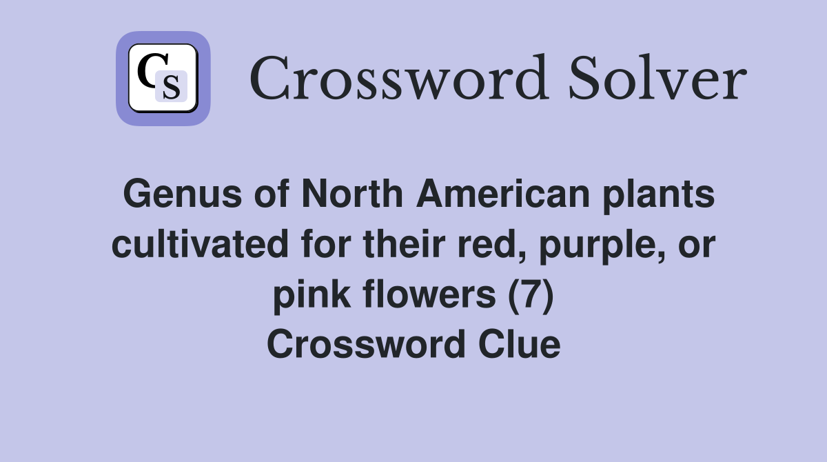 Genus of North American plants cultivated for their red, purple, or pink flowers (7) Crossword Clue