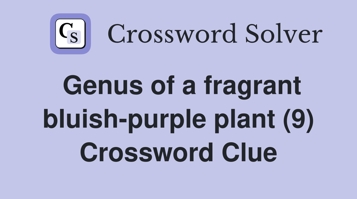 Genus of a fragrant bluish-purple plant (9) Crossword Clue